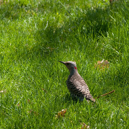 %_tempFileName_DSC7909PhoMamuse%20Ann%20Onymes%